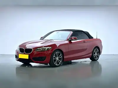 BMW 2 Series (Import) 2018