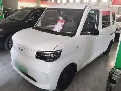 Wuling Motors Zhiguang NEV 2026
