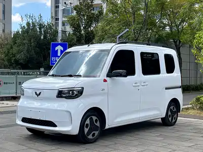 Wuling Motors Zhiguang NEV 2025