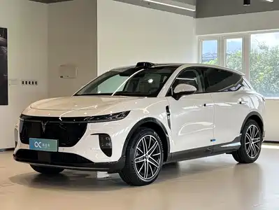 Voyah Auto Zhiyin 2025