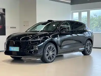 Voyah Auto Zhiyin 2025