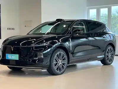 Voyah Auto Zhiyin 2025