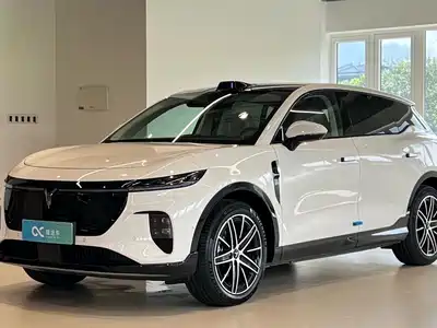 Voyah Auto Zhiyin 2025