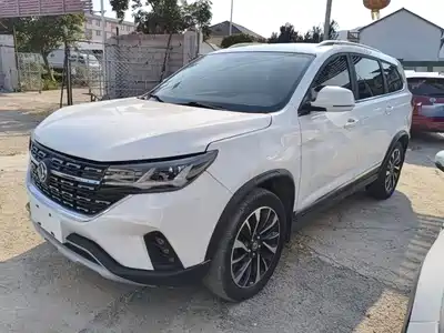 Dongfeng Fengxing T5L 2019