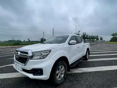 Dongfeng Rich 6 2019
