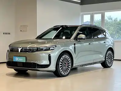 Voyah Auto FREE 2025