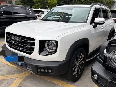 Haval Big Dog 2020