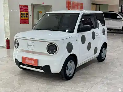 Geely Galaxy Panda 2023