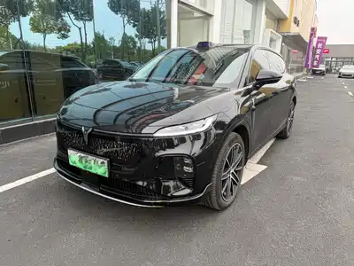 Voyah Auto Zhiyin 2025
