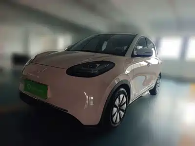 Wuling Motors Bingo 2024