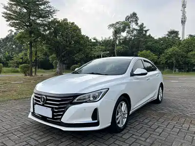 Changan Ruicheng CC 2020