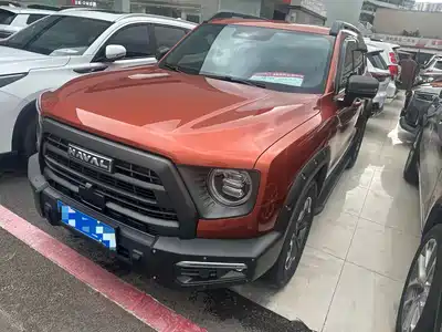Haval Big Dog 2024