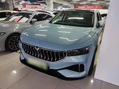 Voyah Auto FREE 2022