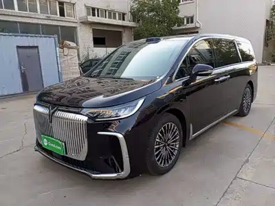 Voyah Auto Dreamer 2026