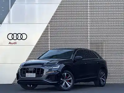 Audi Q8 2019