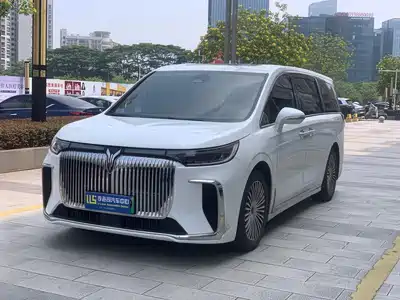 Voyah Auto Dreamer 2026