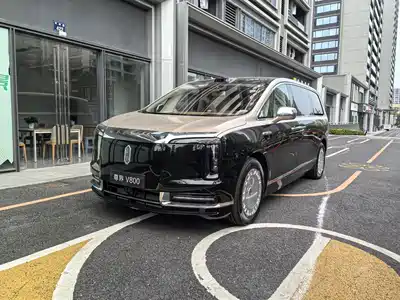 Zunjie V800 2026