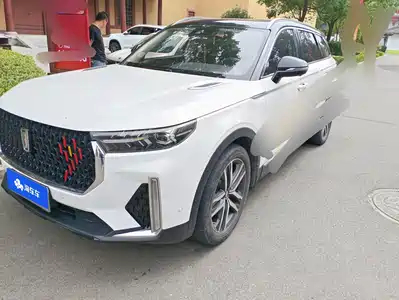 Besturn T99 2020