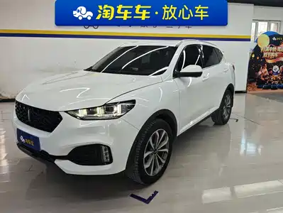 WEY VV6 2019