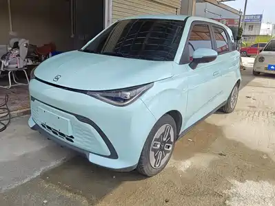 QQ New Energy Duomi 2025
