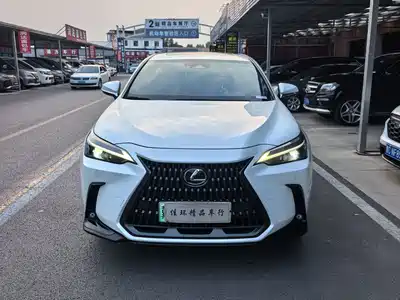 Lexus NX New Energy 2023