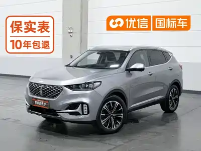 WEY VV6 2021