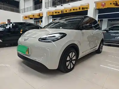 Wuling Motors Bingo 2024