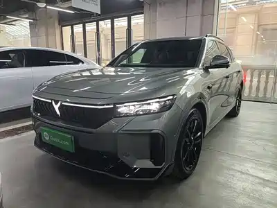 Voyah Auto FREE 2025