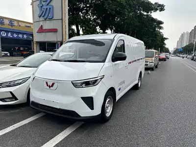 Wuling Motors Yangguang 2024