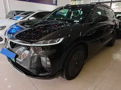Voyah Auto Zhiyin 2024