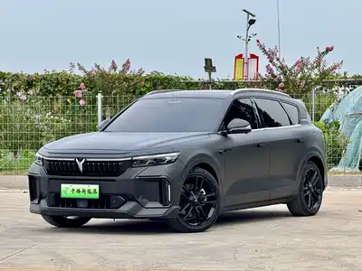 Voyah Auto FREE 2023