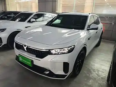 Voyah Auto FREE 2025