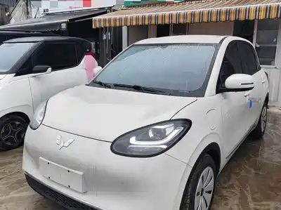 Wuling Motors Bingo 2024