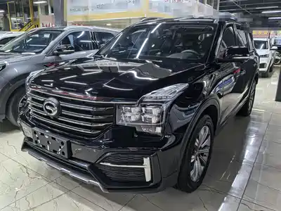 GAC Trumpchi GS8 2020