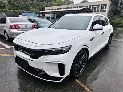 Voyah Auto FREE 2023