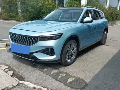 Voyah Auto FREE 2021