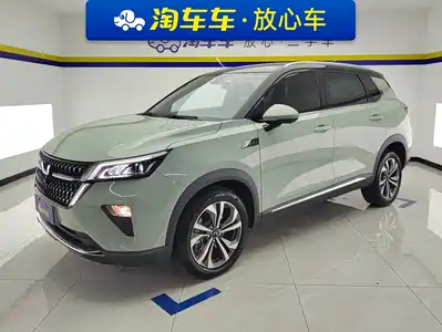 Wuling Motors Xingchen 2024