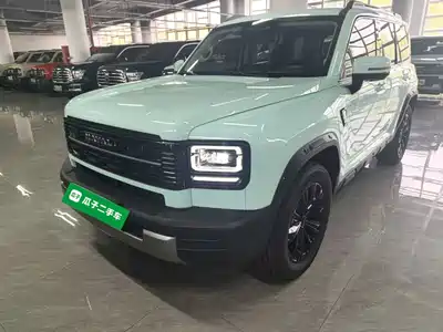 Haval Meng Long NEV 2025