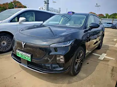 Voyah Auto Zhiyin 2025