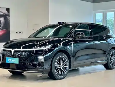 Voyah Auto Zhiyin 2025