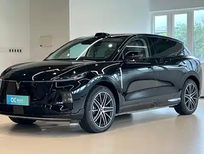Voyah Auto Zhiyin 2025
