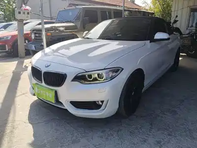 BMW 2 Series (Import) 2017