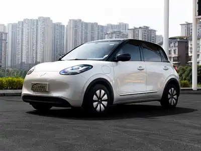 Wuling Motors Bingo 2024