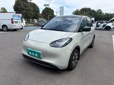 Wuling Motors Bingo 2023