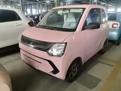 Dongfeng Fengguang MINIEV 2024