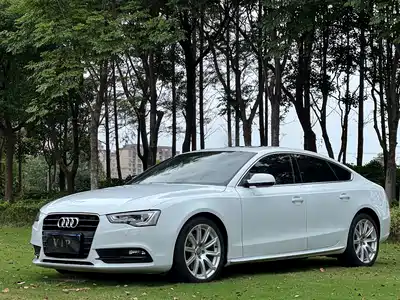 Audi A5 (Import) 2013