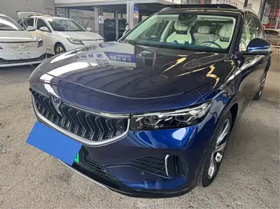 Voyah Auto FREE 2021