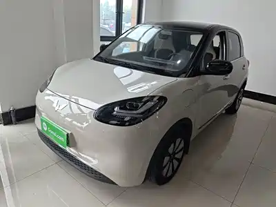 Wuling Motors Bingo 2024