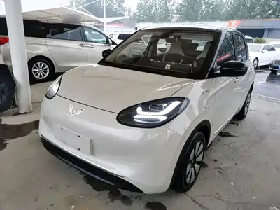 Wuling Motors Bingo 2023