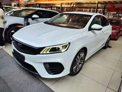 Geely Binrui 2019